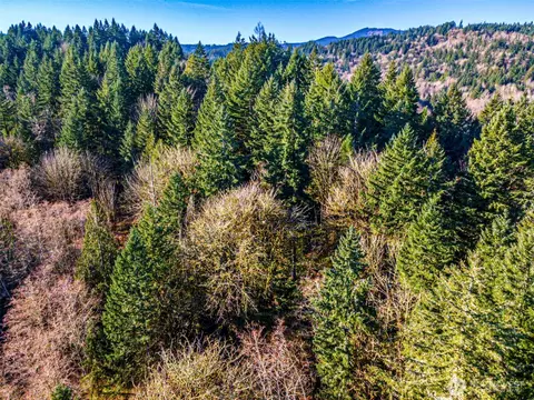 0 Dempsey Ln SW, Olympia, WA 98512