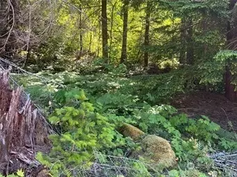 103 Ridge Ln, Packwood, WA 98361