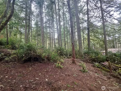 11312 Yoman Rd, Anderson Island, WA 98303
