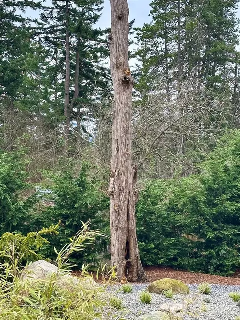 Exterior - 744 Crescent Beach Dr, Eastsound, WA 98245 photo 5 of 11