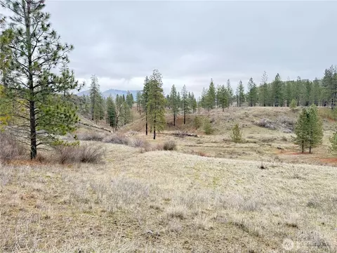 0 Cayuse Cove Rd N, Davenport, WA 99122