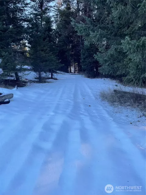 161 Bunch Rd, Wauconda, WA 98859