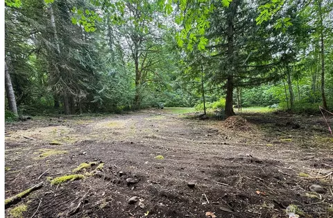 16017 Glacier Rim Dr, Glacier, WA 98244