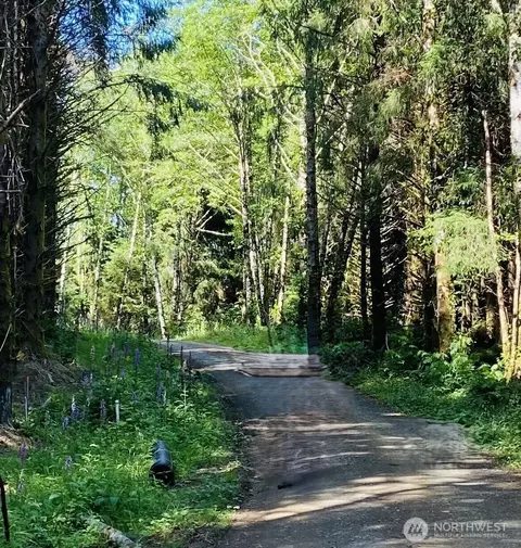 290 Lot 4 Luttrell Ln, Chinook, WA 98614