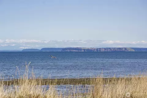 View/Area - 103 E Seashore Ln, Sequim, WA 98382 photo 4 of 6