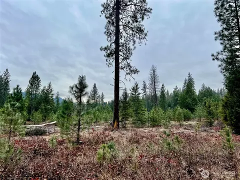 0 40tbd Hwy 25 N, Northport, WA 99157