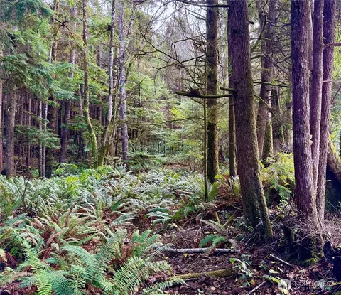 0 Copalis Beach Rd, Copalis Beach, WA 98535
