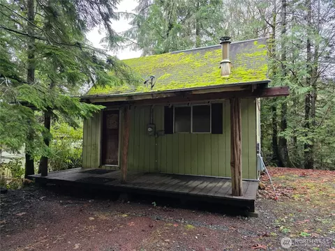 411 Elk Dr, Brinnon, WA 98320