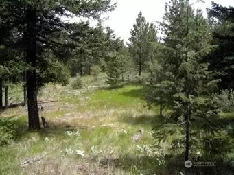 0 Mule Deer Rd, Waterville, WA 98858