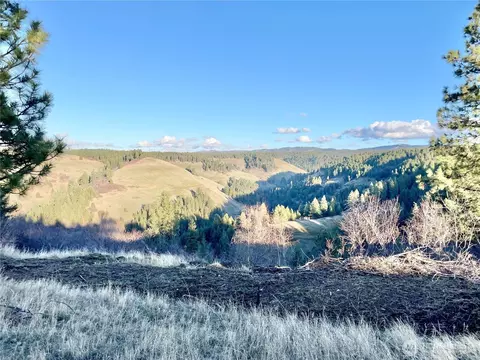 0 Lewis Peak, Dixie, WA 99329