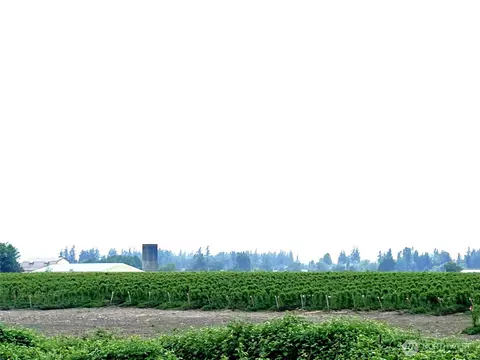 1766 Hampton Rd, Everson, WA 98247