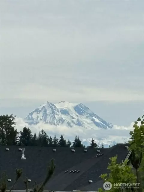 Other - 3126 Arrowroot Loop SE, Lacey, WA 98513 photo 1 of 7