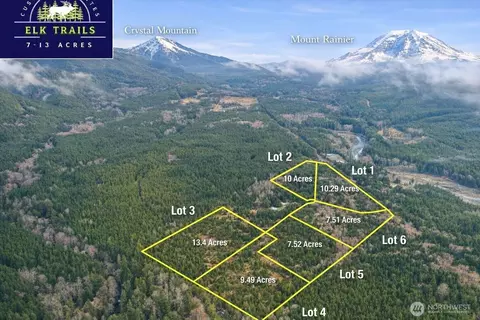 12016 Elk Trails Dr E, Greenwater, WA 98022 photo 3