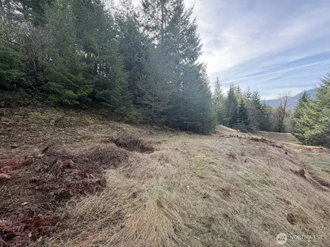 115 Ridge Ln, Packwood, WA 98361