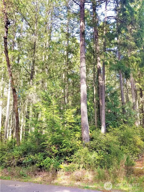11107 122nd Avenue Ct, Anderson Island, WA 98303