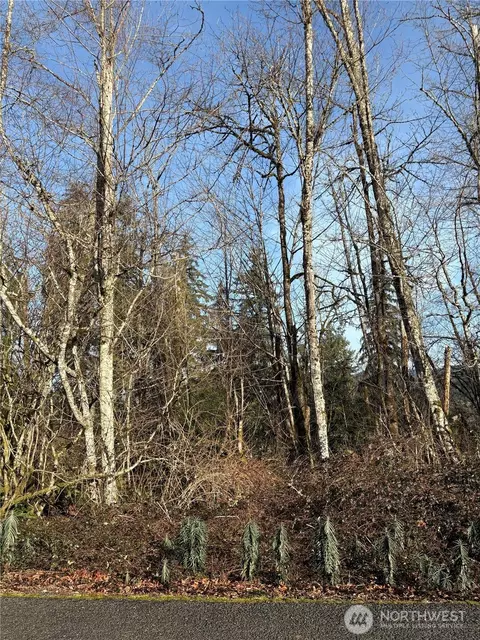 128 Valley View Dr, Mossyrock, WA 98564