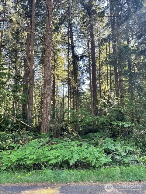 11825 112th Ave, Anderson Island, WA 98303
