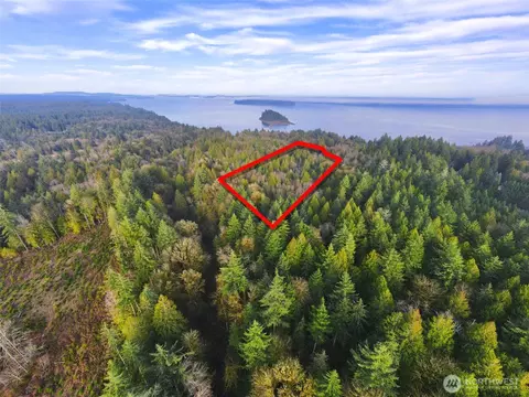 705 E Colonel Wright Rd, Shelton, WA 98584 photo 11