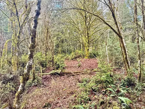 705 E Colonel Wright Rd, Shelton, WA 98584 photo 23