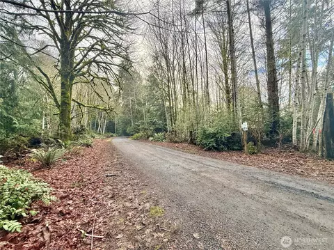 705 E Colonel Wright Rd, Shelton, WA 98584 photo 27