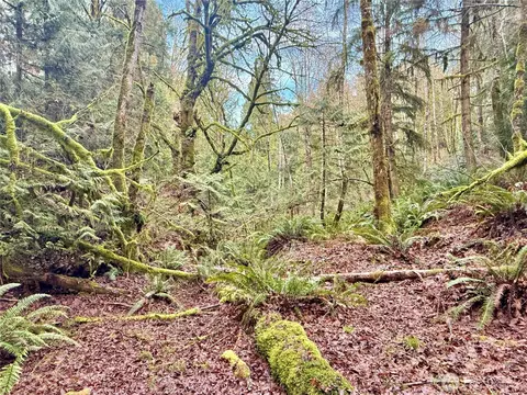 705 E Colonel Wright Rd, Shelton, WA 98584 photo 17