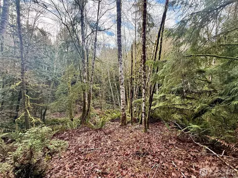 705 E Colonel Wright Rd, Shelton, WA 98584 photo 25