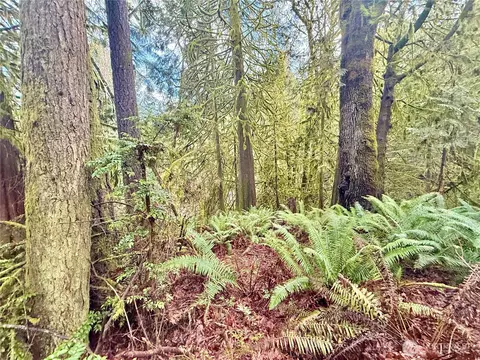 705 E Colonel Wright Rd, Shelton, WA 98584 photo 34