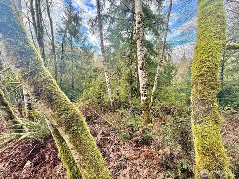 705 E Colonel Wright Rd, Shelton, WA 98584 photo 31