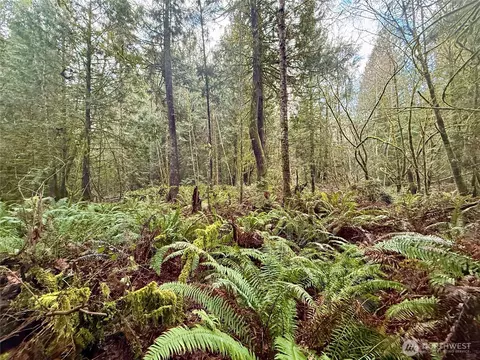 705 E Colonel Wright Rd, Shelton, WA 98584 photo 22