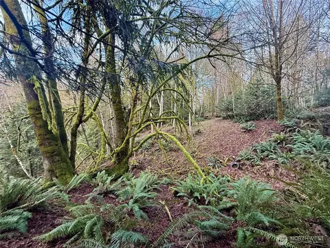 705 E Colonel Wright Rd, Shelton, WA 98584 photo 8