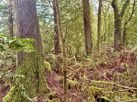705 E Colonel Wright Rd, Shelton, WA 98584 photo 20