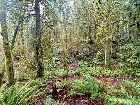 705 E Colonel Wright Rd, Shelton, WA 98584 photo 35