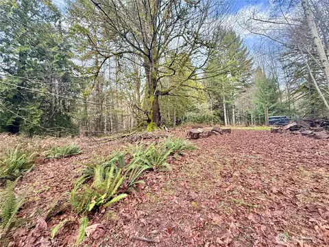 705 E Colonel Wright Rd, Shelton, WA 98584 photo 7
