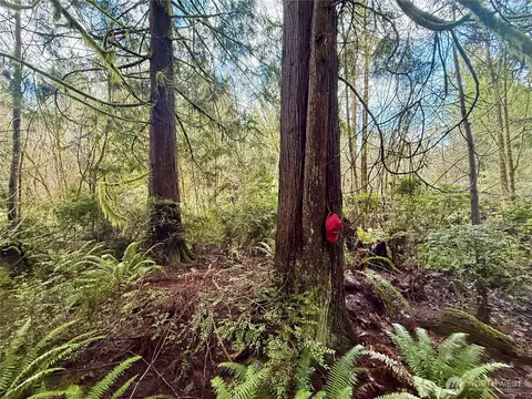705 E Colonel Wright Rd, Shelton, WA 98584 photo 9