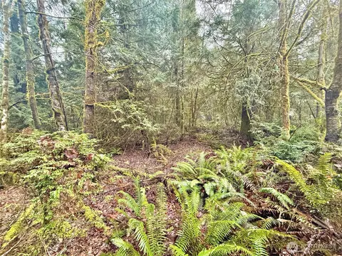 705 E Colonel Wright Rd, Shelton, WA 98584 photo 33