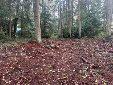 0 Lot 60 Worthy Pl, Greenbank, WA 98253
