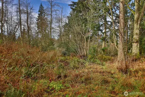 0 Goss Lake Rd, Freeland, WA 98249