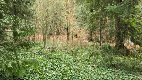 7884 Santa Fe Trl, Maple Falls, WA 98266