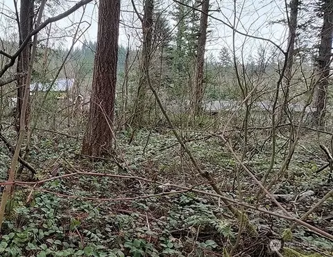 355 Nn 312th St Way SE, Enumclaw, WA 98022 photo 15
