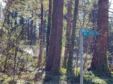 355 Nn 312th St Way SE, Enumclaw, WA 98022