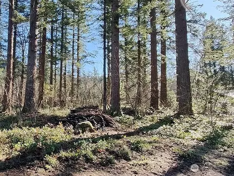 355 Nn 312th St Way SE, Enumclaw, WA 98022 photo 14