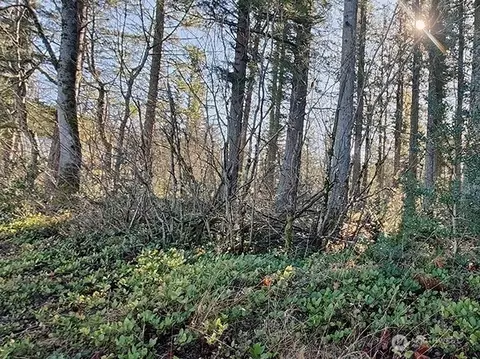 355 Nn 312th St Way SE, Enumclaw, WA 98022 photo 4