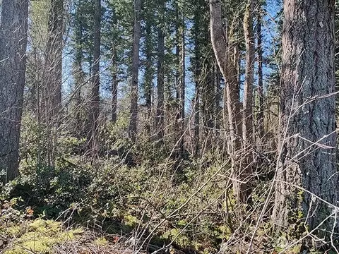 355 Nn 312th St Way SE, Enumclaw, WA 98022 photo 3