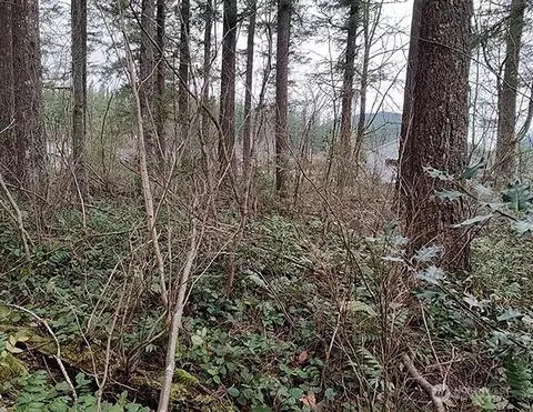 355 Nn 312th St Way SE, Enumclaw, WA 98022 photo 19