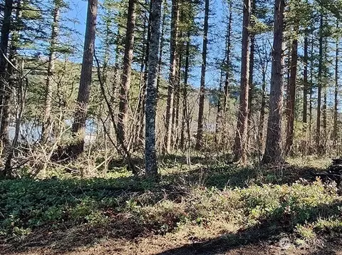 355 Nn 312th St Way SE, Enumclaw, WA 98022 photo 13