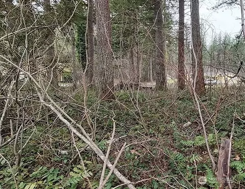 355 Nn 312th St Way SE, Enumclaw, WA 98022 photo 18