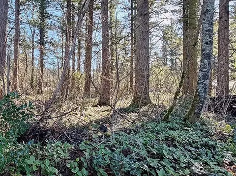 355 Nn 312th St Way SE, Enumclaw, WA 98022 photo 7