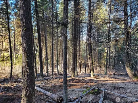 9999 Tbd Lundimo Meadows Rd, Curlew, WA 99118