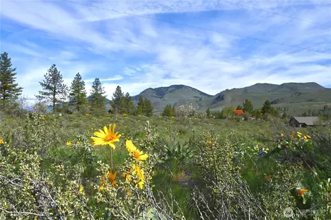 0 Tbd Green Meadows Dr, Winthrop, WA 98862