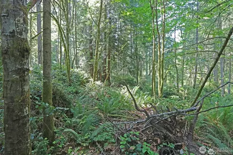 20825 Old Mill Rd SW, Vashon, WA 98070